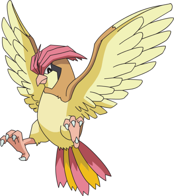 evolucion-de-pidgey-pidgeotto